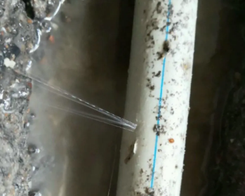 扎鲁特卫生间测漏水多少钱