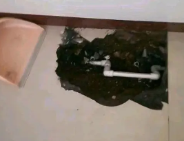 扎鲁特卫生间测漏水多少钱